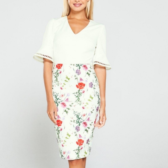 🍒NWT🍒 TED BAKER HEDGEROW DRESS - Picture 2 of 7